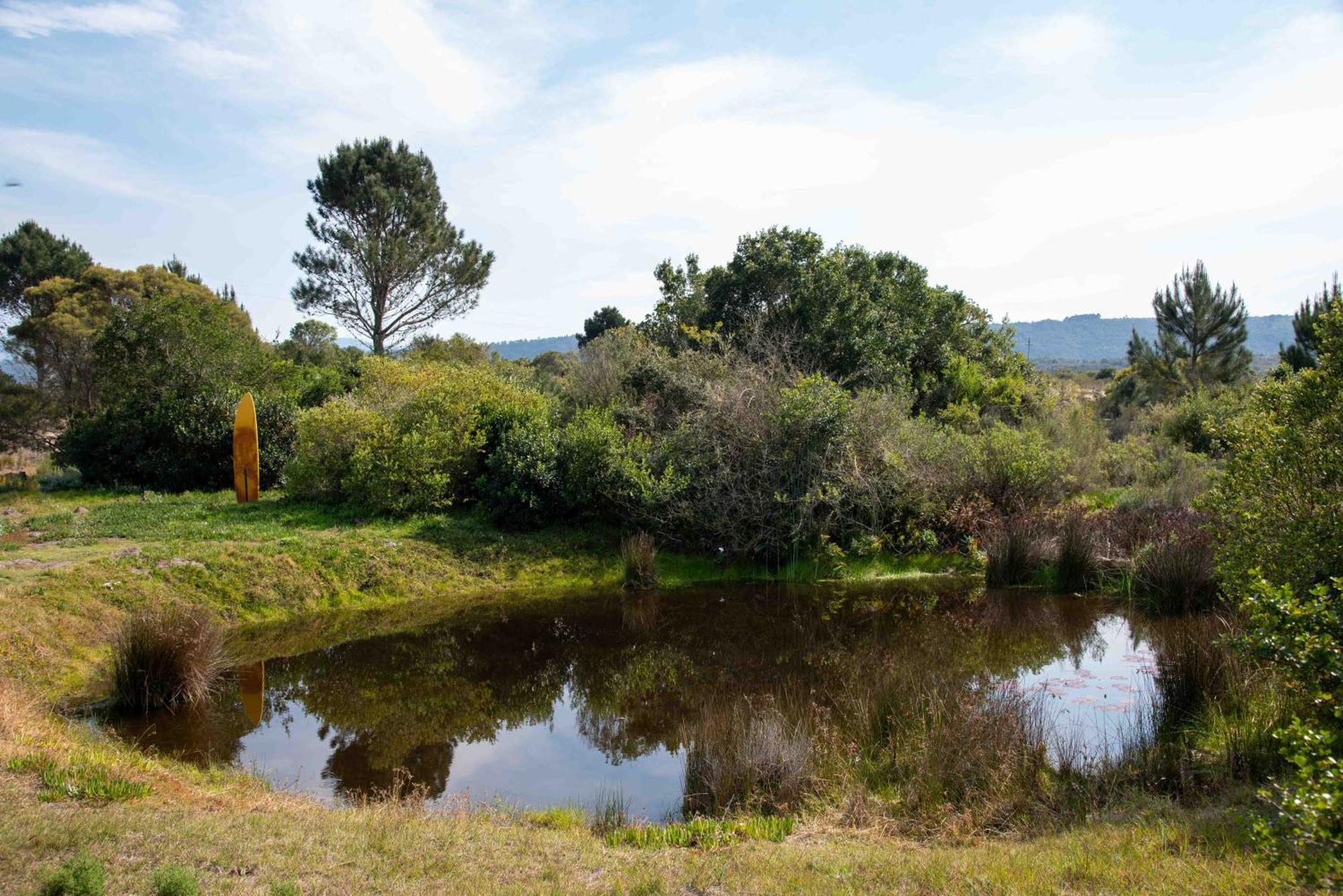 Hotel Equleni Guest Farm à Sedgefield Extérieur photo